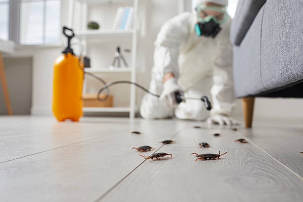 Trusted Rodent Control service in Great Bend, KS - Nex Pest Control
